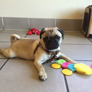 Meet your Posher, Eggsy